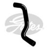 GATES 3968 Radiator Hose